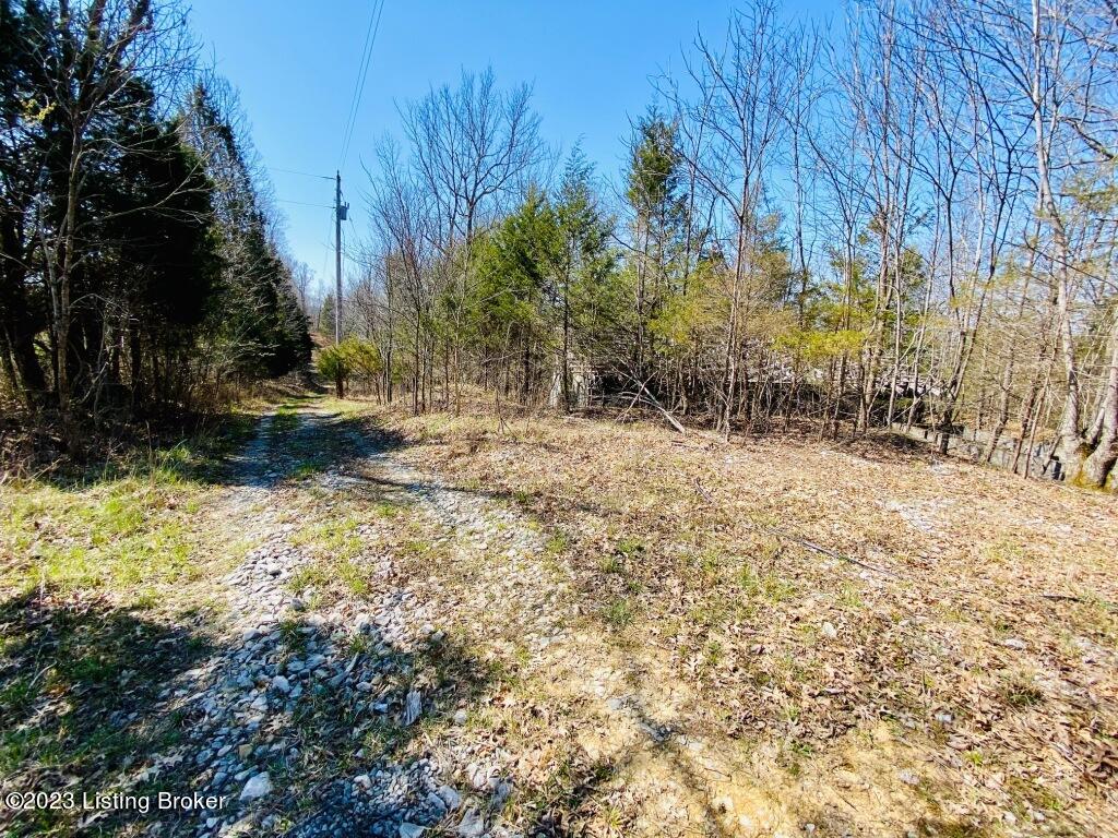 2723 Tatum Ridge Road Willisburg, KY 40078 - Photo 6 of 42 006_79791039