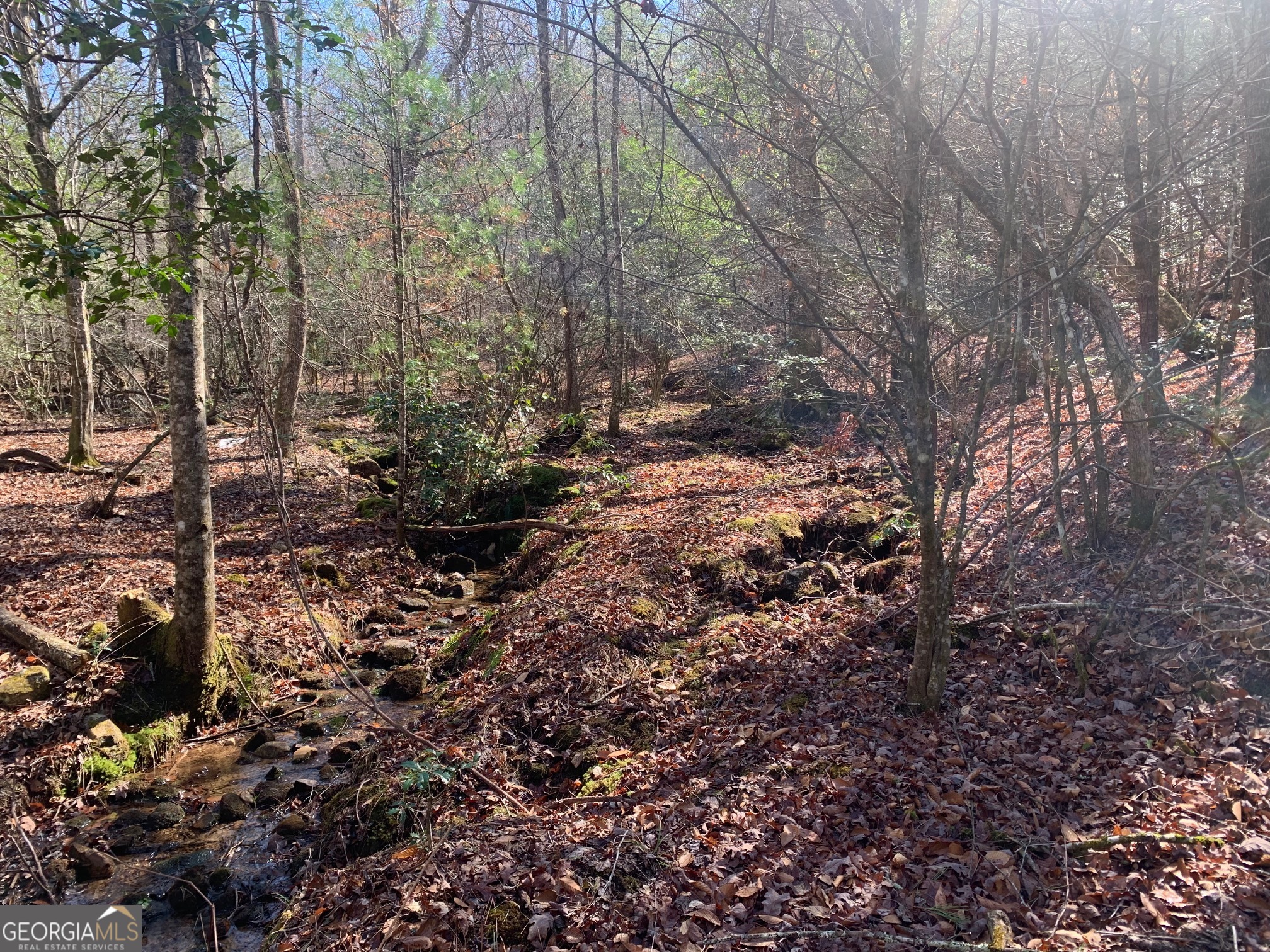 0 East New Hope Road, Unit TRACT B Ellijay, GA 30536 - Photo 10 of 20 Gallery Image 10