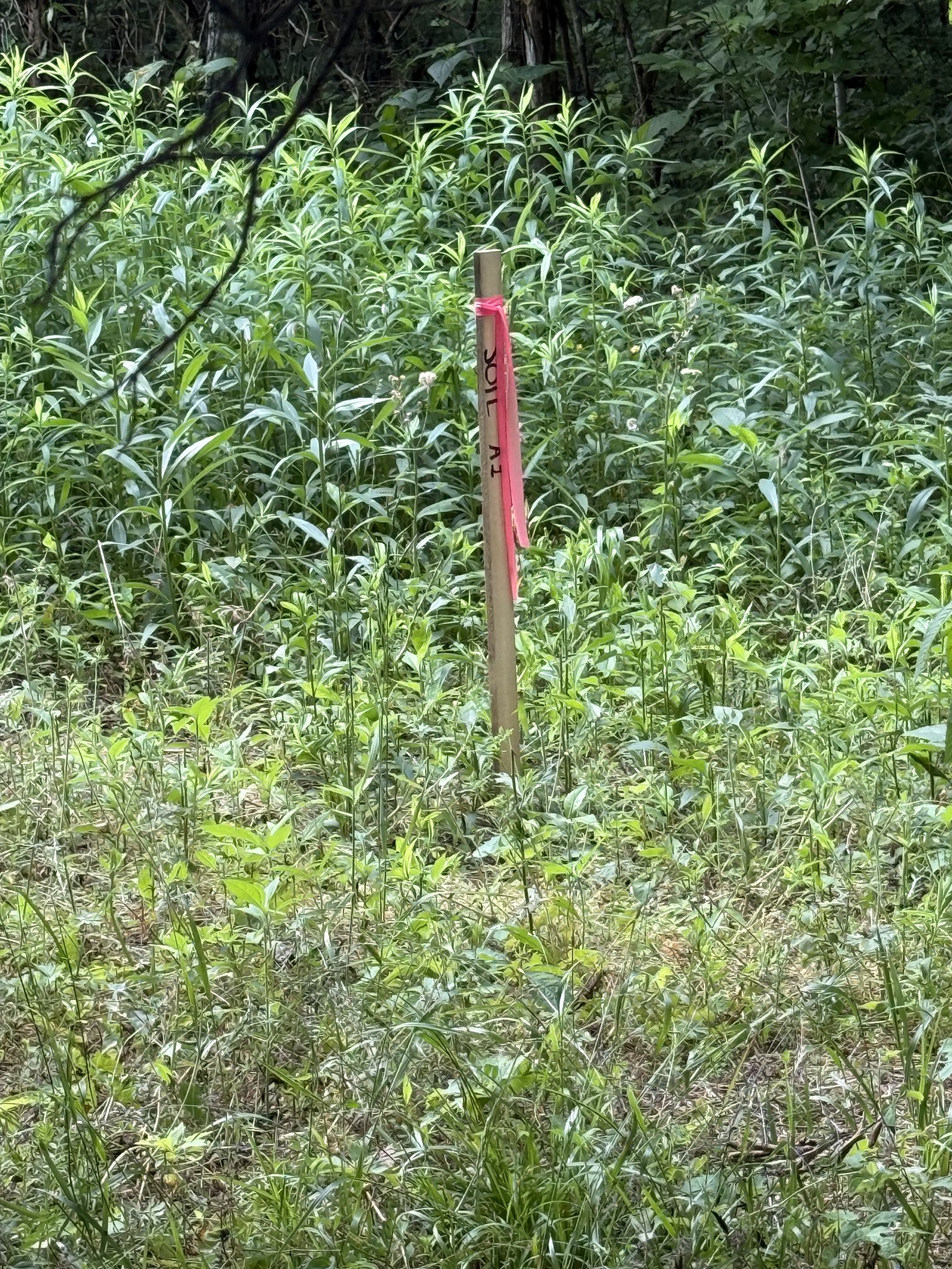 328 Young Branch Road Dixon Springs, TN 37057 - Photo 23 of 30