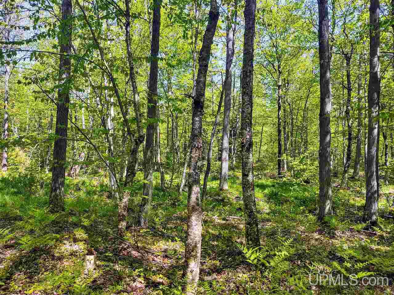 Tbd-parcel Point Abbaye Road Lanse, MI 49946 - Photo 3 of 25
