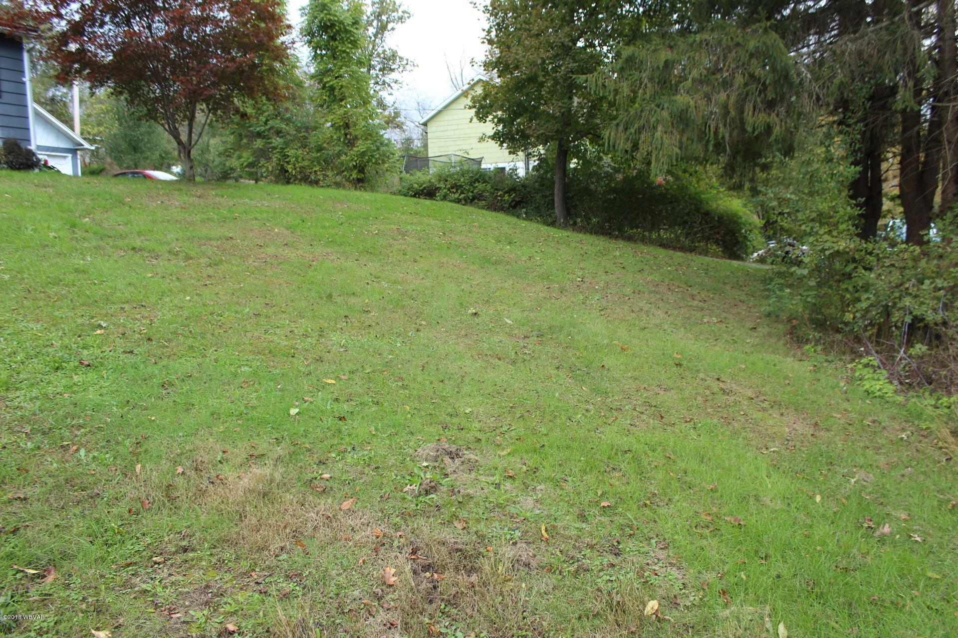 421 Spook Hollow Road Linden, PA 17744 - Photo 26 of 28 Front Yard