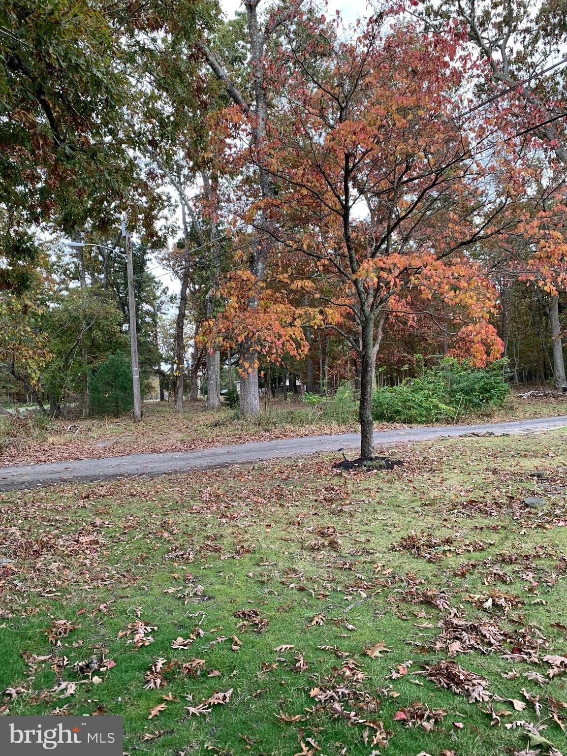 2450 Range Road Browns Mills, NJ 08015 - Photo 4 of 14 Gallery Image 4