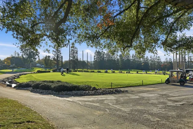 a view of backyard with plants and outdoor seating