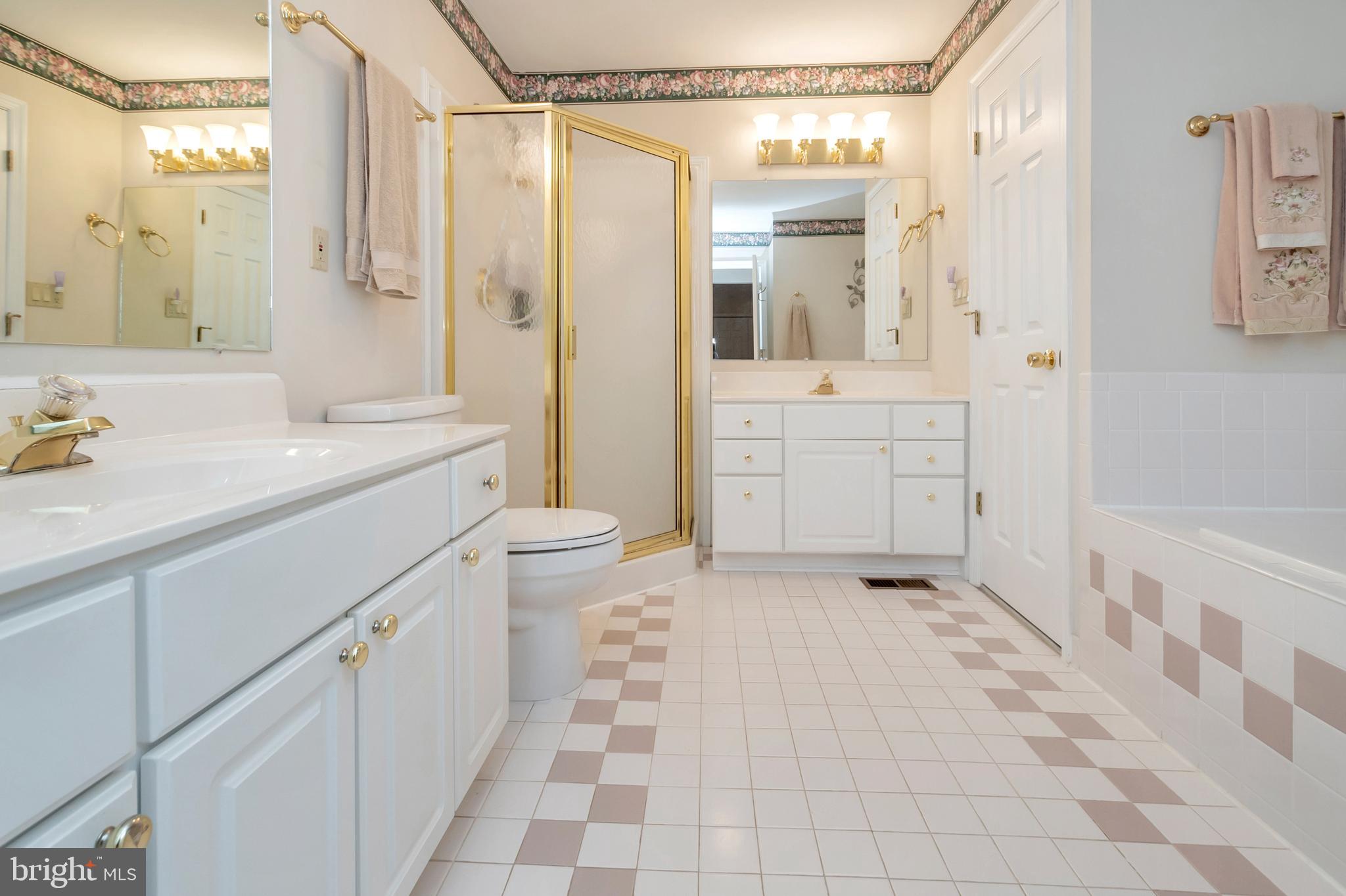 103 Monument Road Locust Grove, VA 22508 - Photo 18 of 30 Spacious master with double vanities
