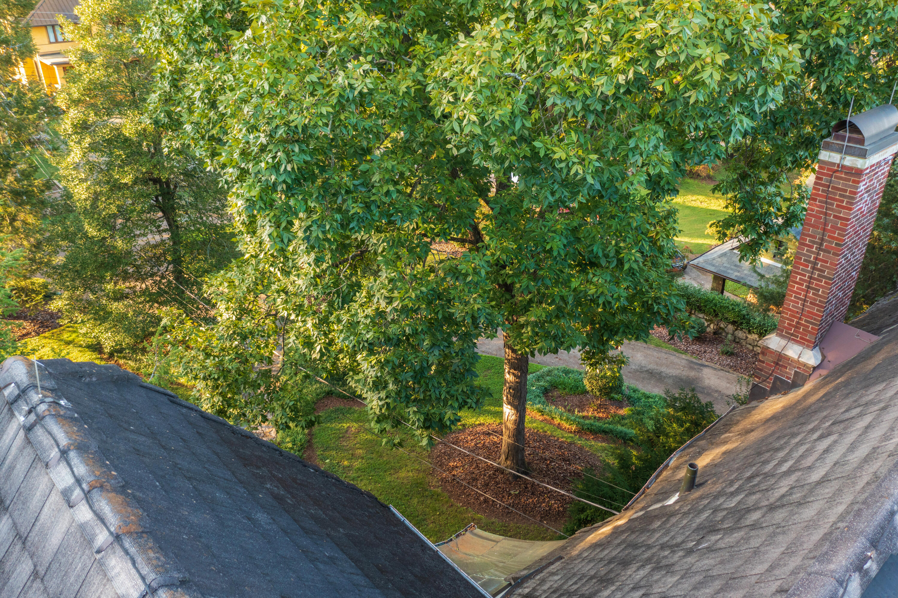 36 South Crest Road Chattanooga, TN 37404 - Photo 95 of 100 Exterior - 36 S Crest -10