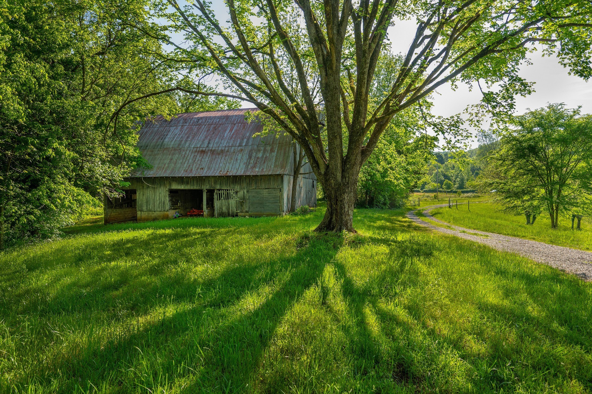 1912 Joppa Road Walling, TN 38587 - Photo 53 of 67 a backyard of a house with table and chairs