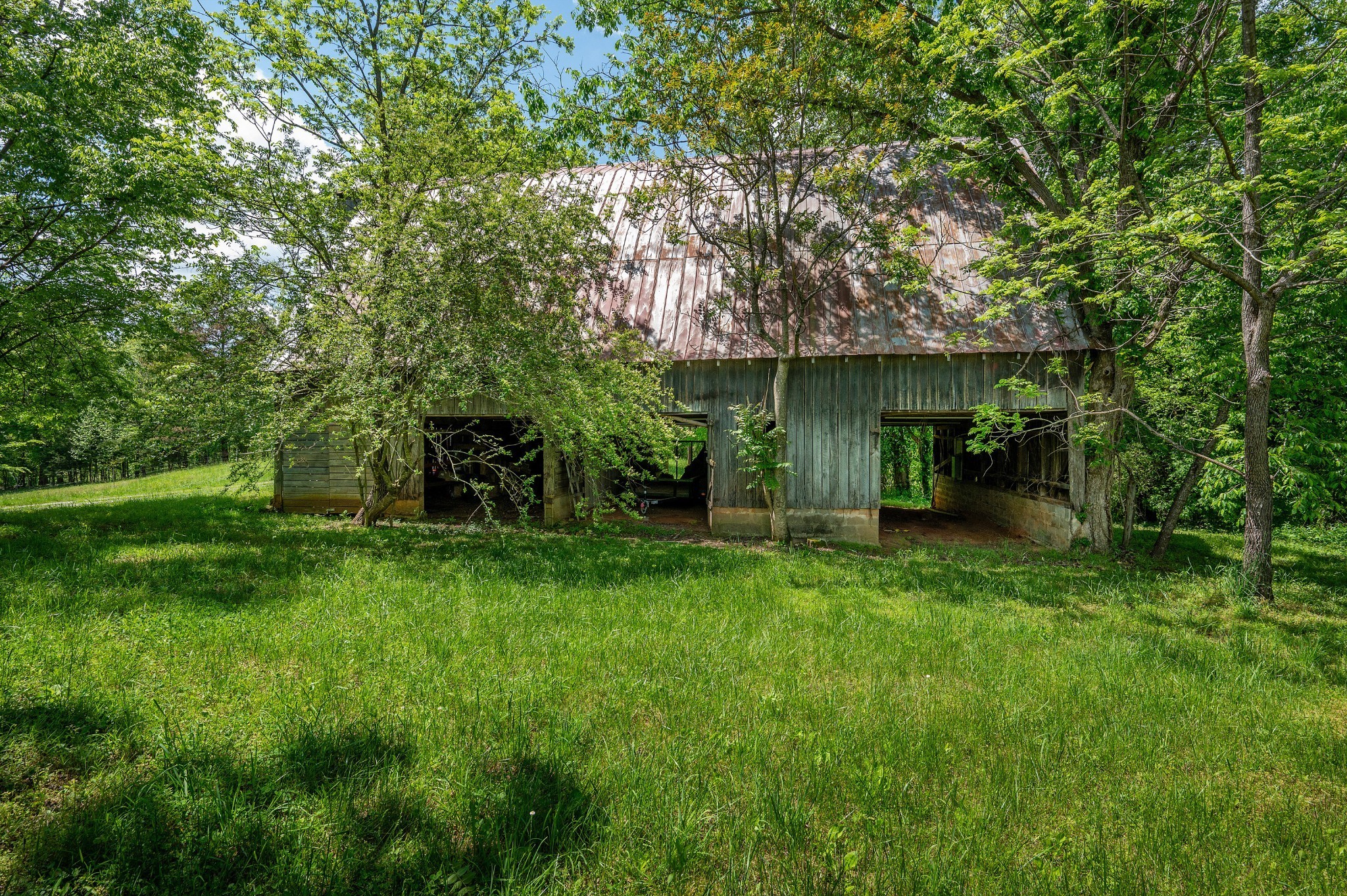 1912 Joppa Road Walling, TN 38587 - Photo 55 of 67 a backyard of a house with plants and large trees