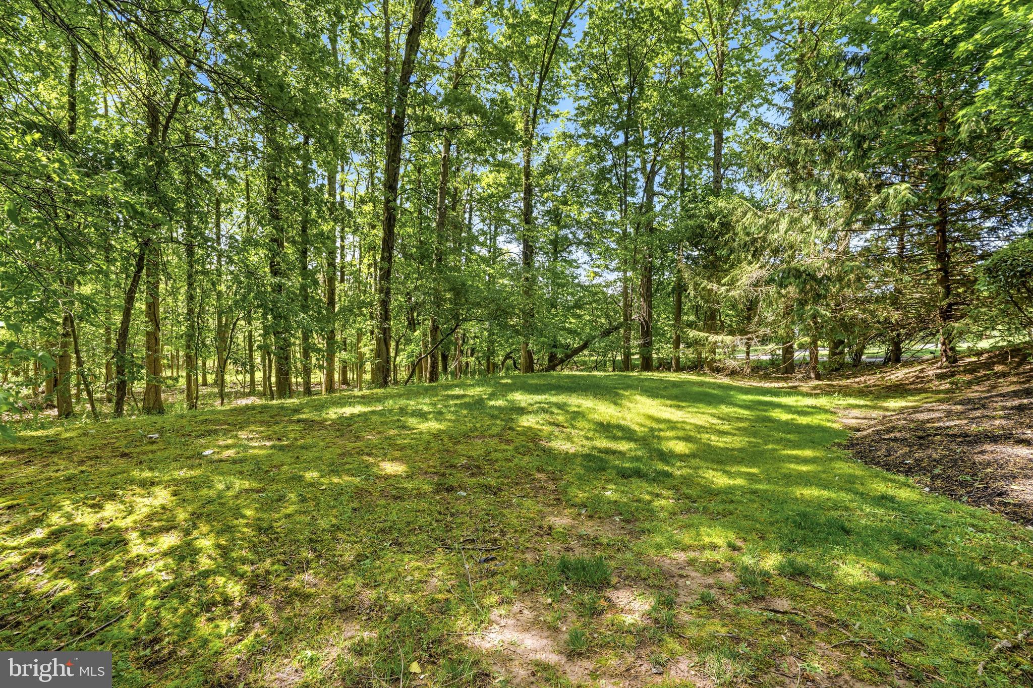 7 Mercer Gate Drive Doylestown, PA 18901 - Photo 2 of 44 Rear yard