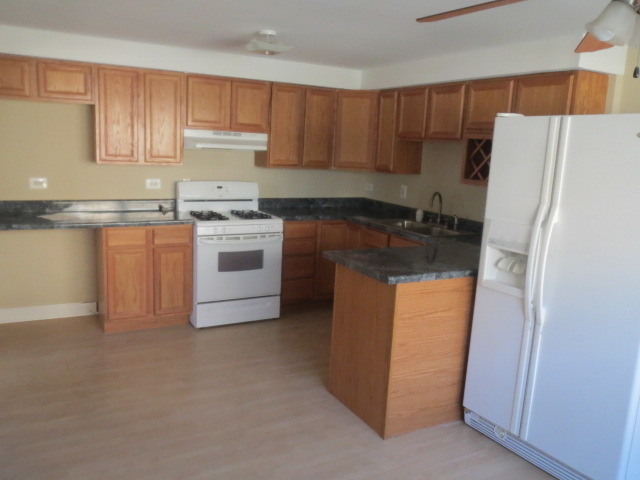 7858 Rutherford Avenue, Unit 2A Burbank, IL 60459 - Photo 2 of 10 a kitchen with a refrigerator sink and cabinets