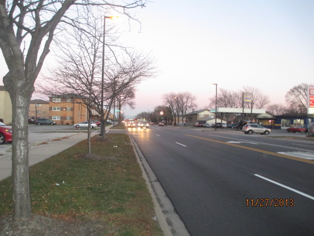 7858 Rutherford Avenue, Unit 2A Burbank, IL 60459 - Photo 8 of 10 a city street with tall trees