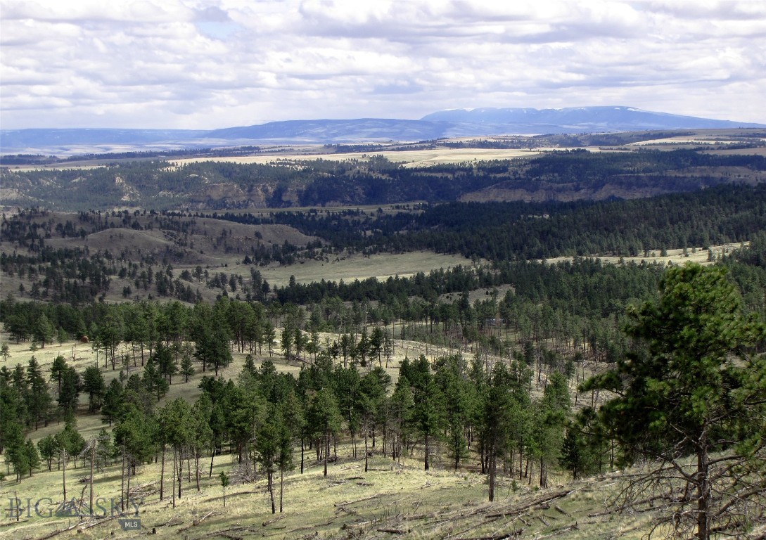 Tbd Tbd Wild Turkey Ridge Road Columbus, MT 59019 - Photo 20 of 55 Gallery Image 20