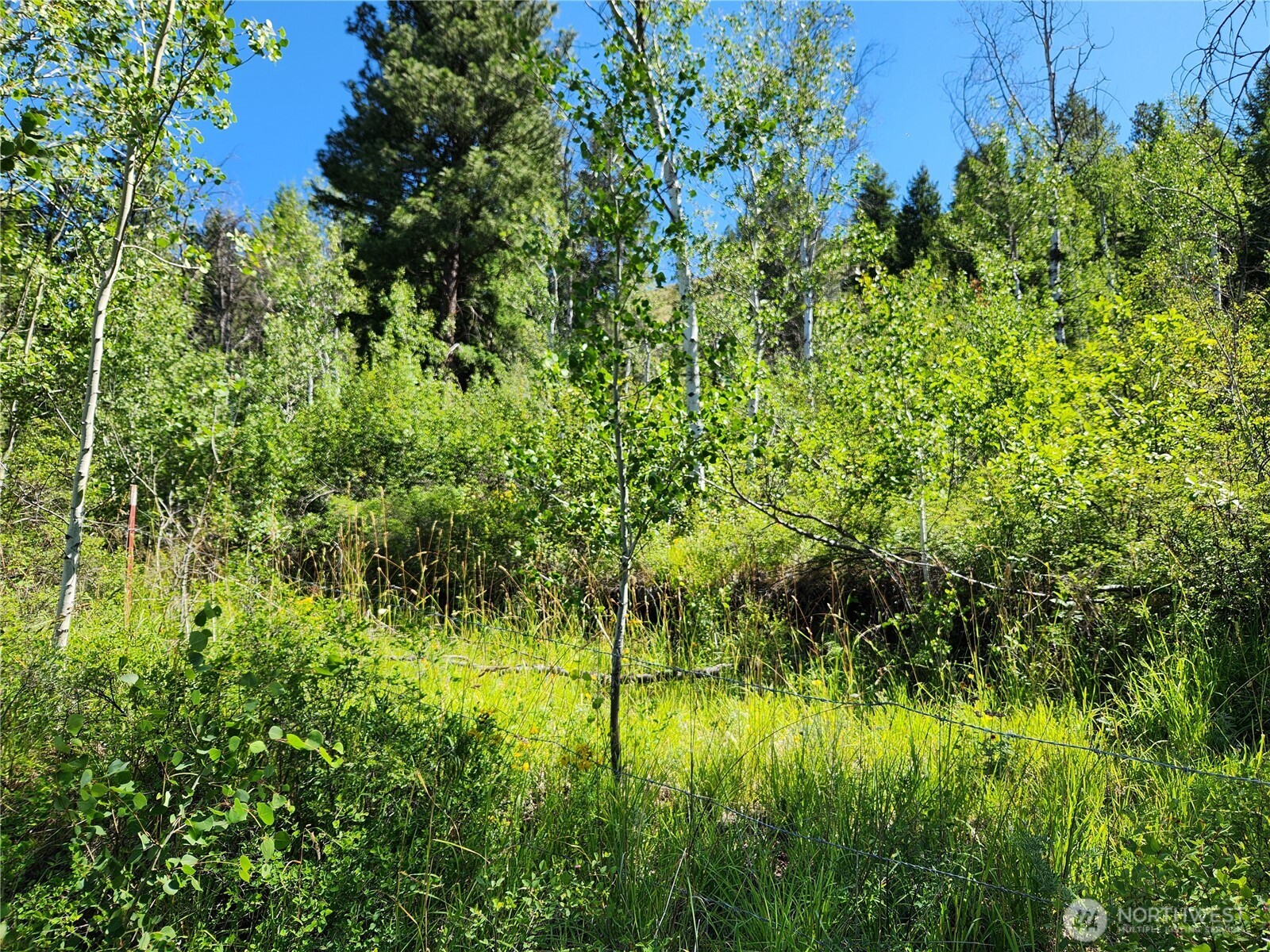 18 Robin Road Republic, WA 99166 - Photo 16 of 28 Gallery Image 16