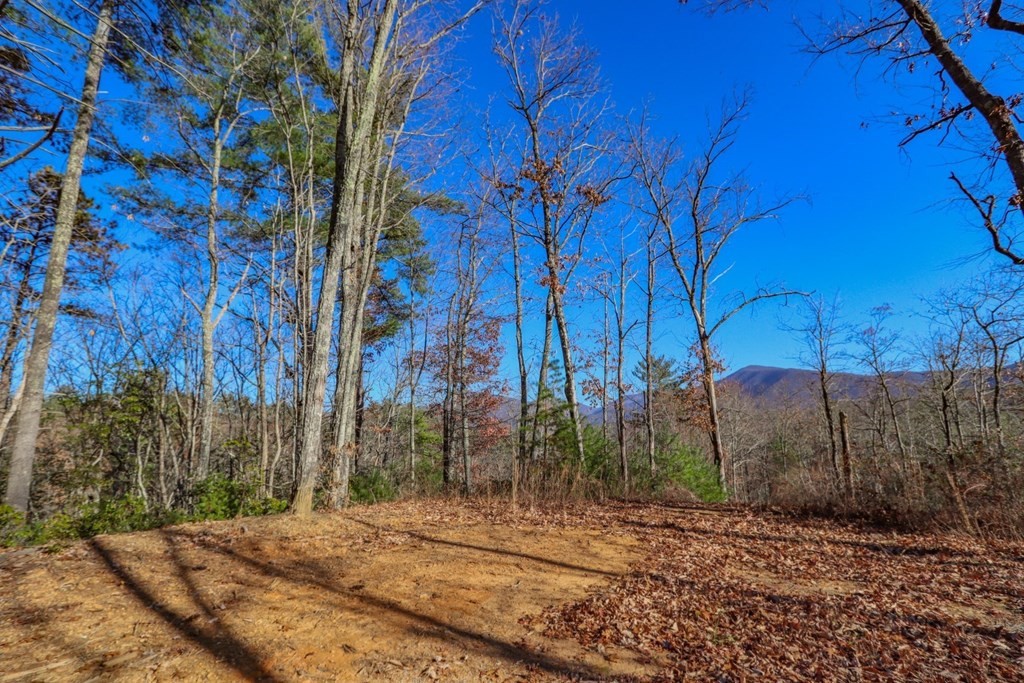 1301 Ridge Hollow Road Del Rio, TN 37727 - Photo 2 of 26 Gallery Image 2