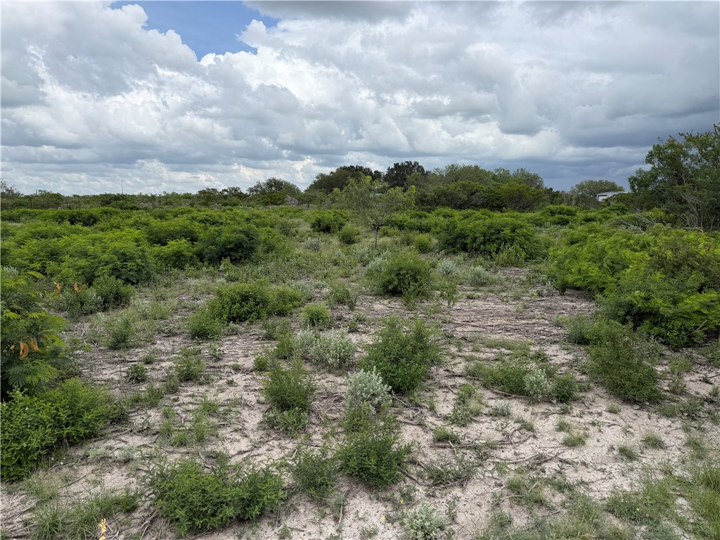 120 Quail Ridge Three Rivers, TX 78071 - Photo 5 of 5