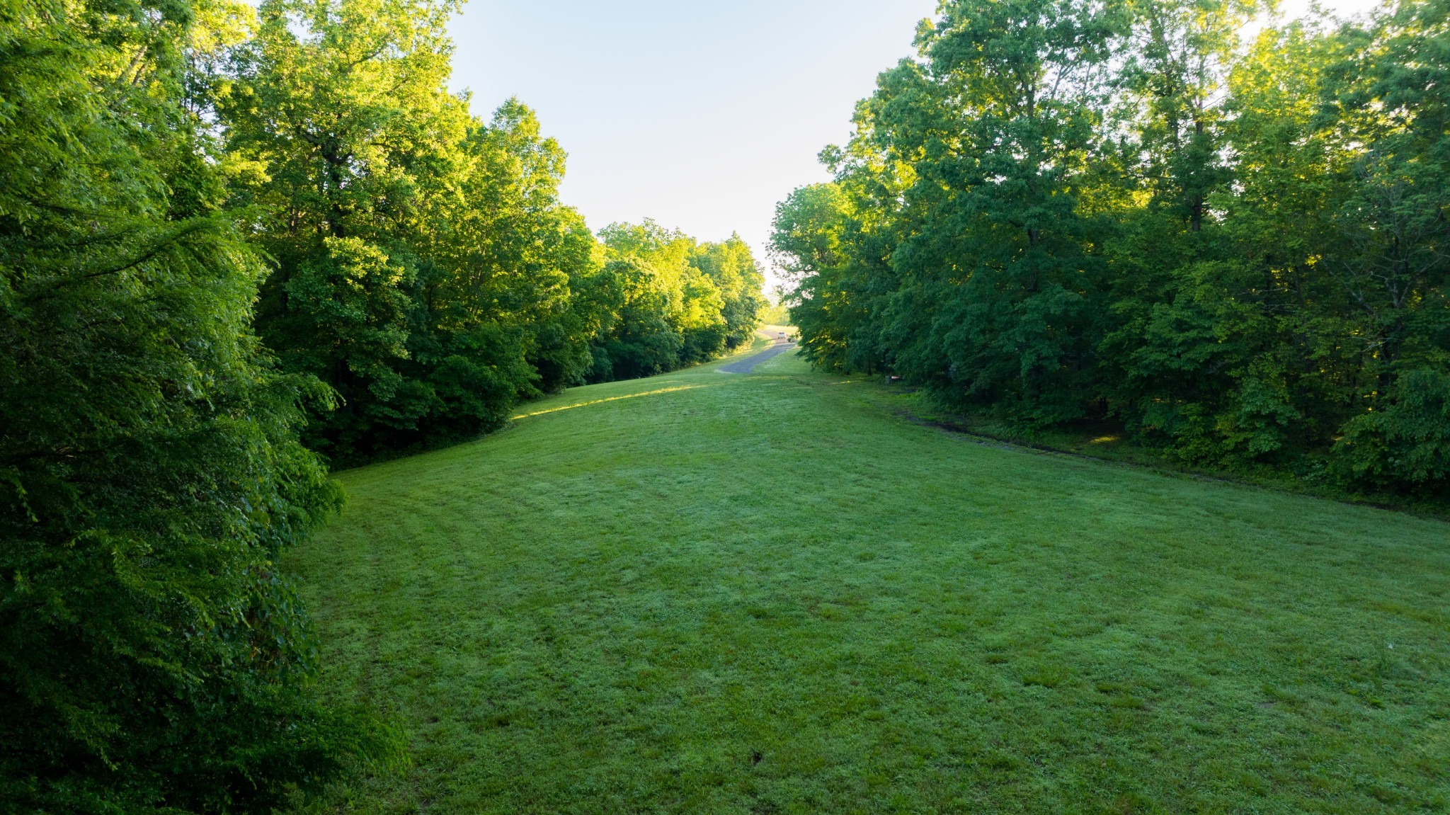 7556 Caney Fork Road Fairview, TN 37062 - Photo 15 of 47 a view of a yard with a trees