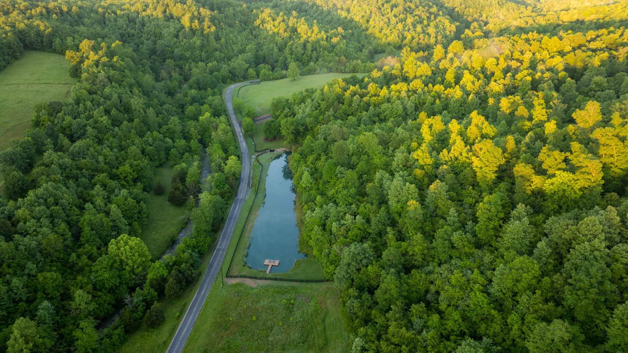7556 Caney Fork Road Fairview, TN 37062 - Photo 41 of 47