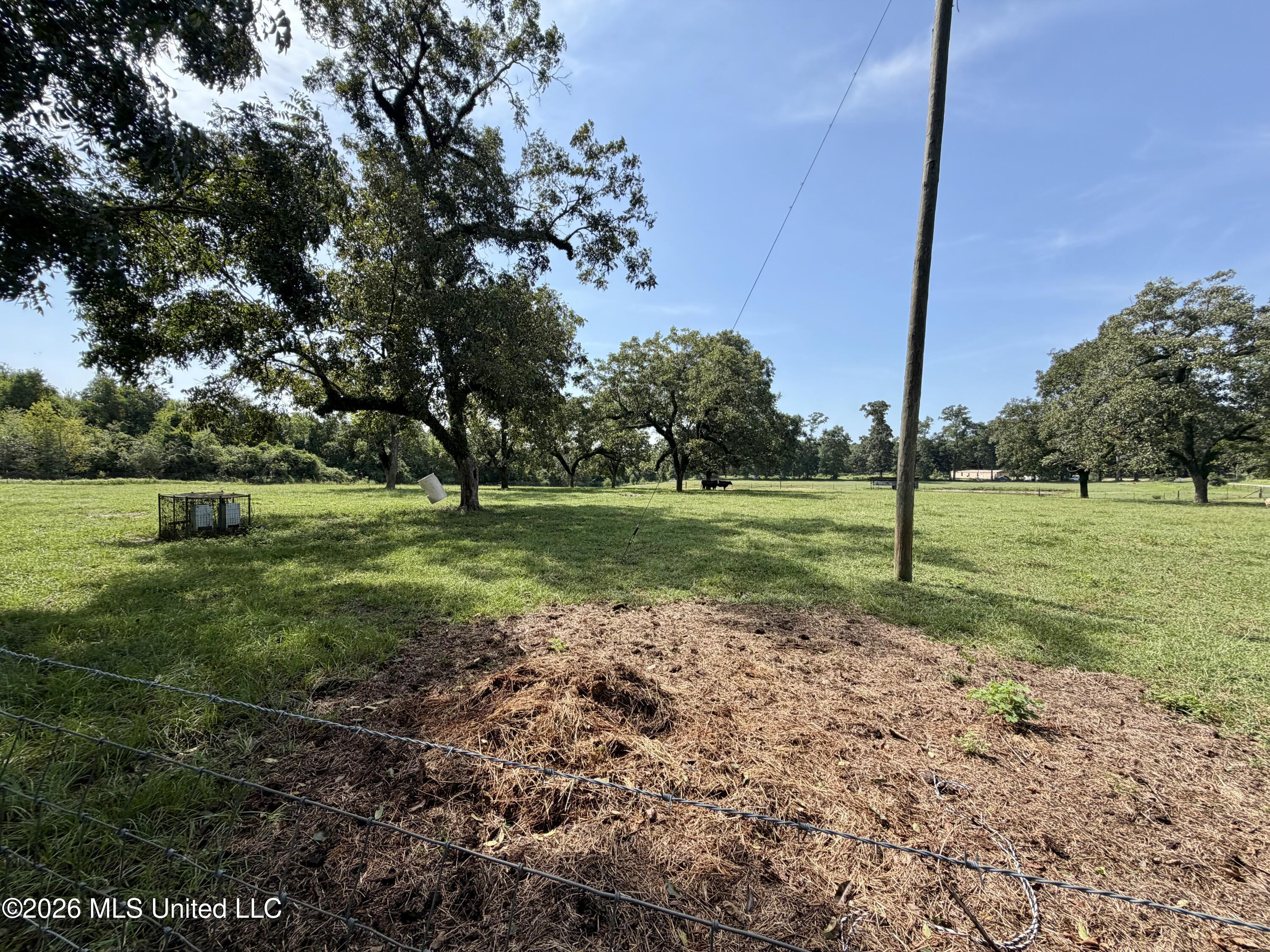 8488 Neely Avera Road Leakesville, MS 39451 - Photo 38 of 59 Photo Aug 19 2026, 10 44 06 AM