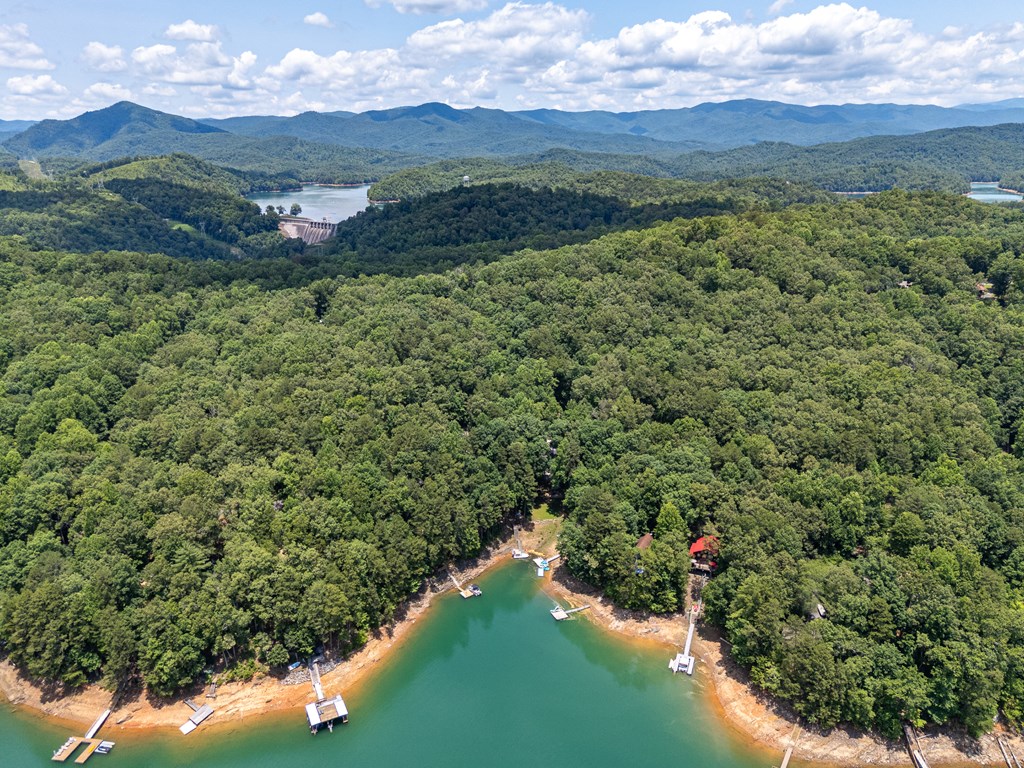 659 Lonesome Pine Road Murphy, NC 28906 - Photo 44 of 54