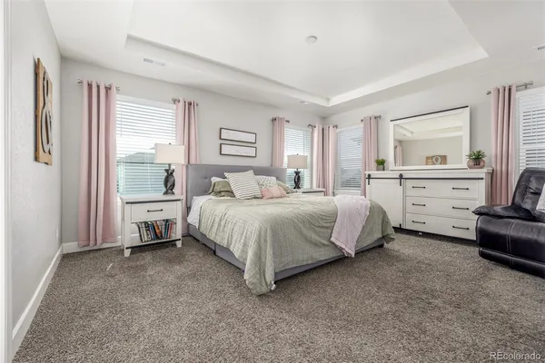 $800,000 | 1658 Pinion Wing Circle, Castle Rock, CO 80108