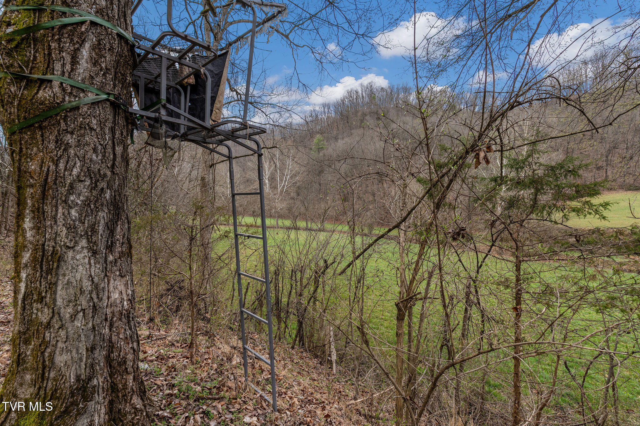 Tbd Piney Flats Road Watauga, TN 37694 - Photo 43 of 60 DSC07399