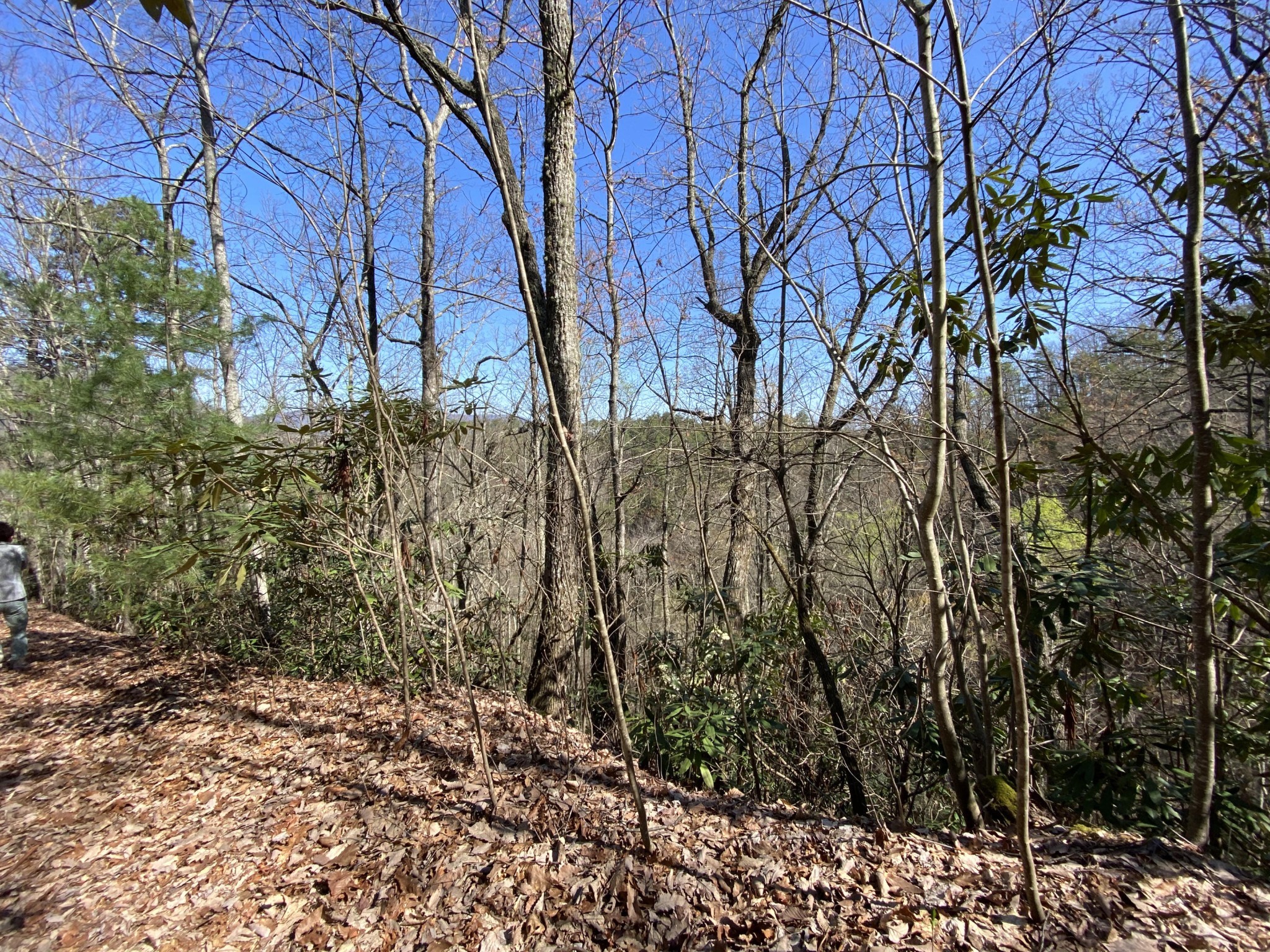 0 South Clear Fork Road Sevierville, TN 37862 - Photo 17 of 22 Gallery Image 17