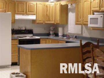 2579 North Reed Station Road Carbondale, IL 62901 - Photo 3 of 11