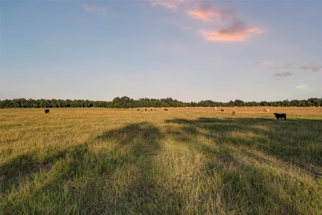 $8,500,000 | 973 St Taylor Tx 76574, Coupland, TX 78615