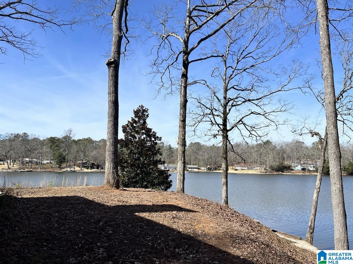 875 Lake Tate Road Sylacauga, AL 35151 - Photo 21 of 21