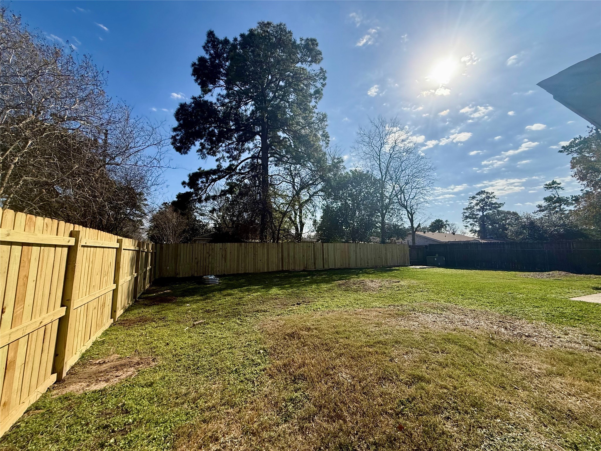 4535 Reynaldo Drive Spring, TX 77373 - Photo 17 of 20 Backyard