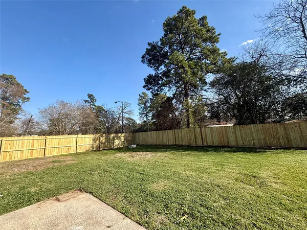 a view of a yard with a large trees