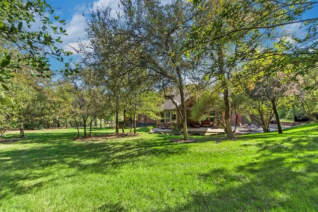 a view of a park with large trees