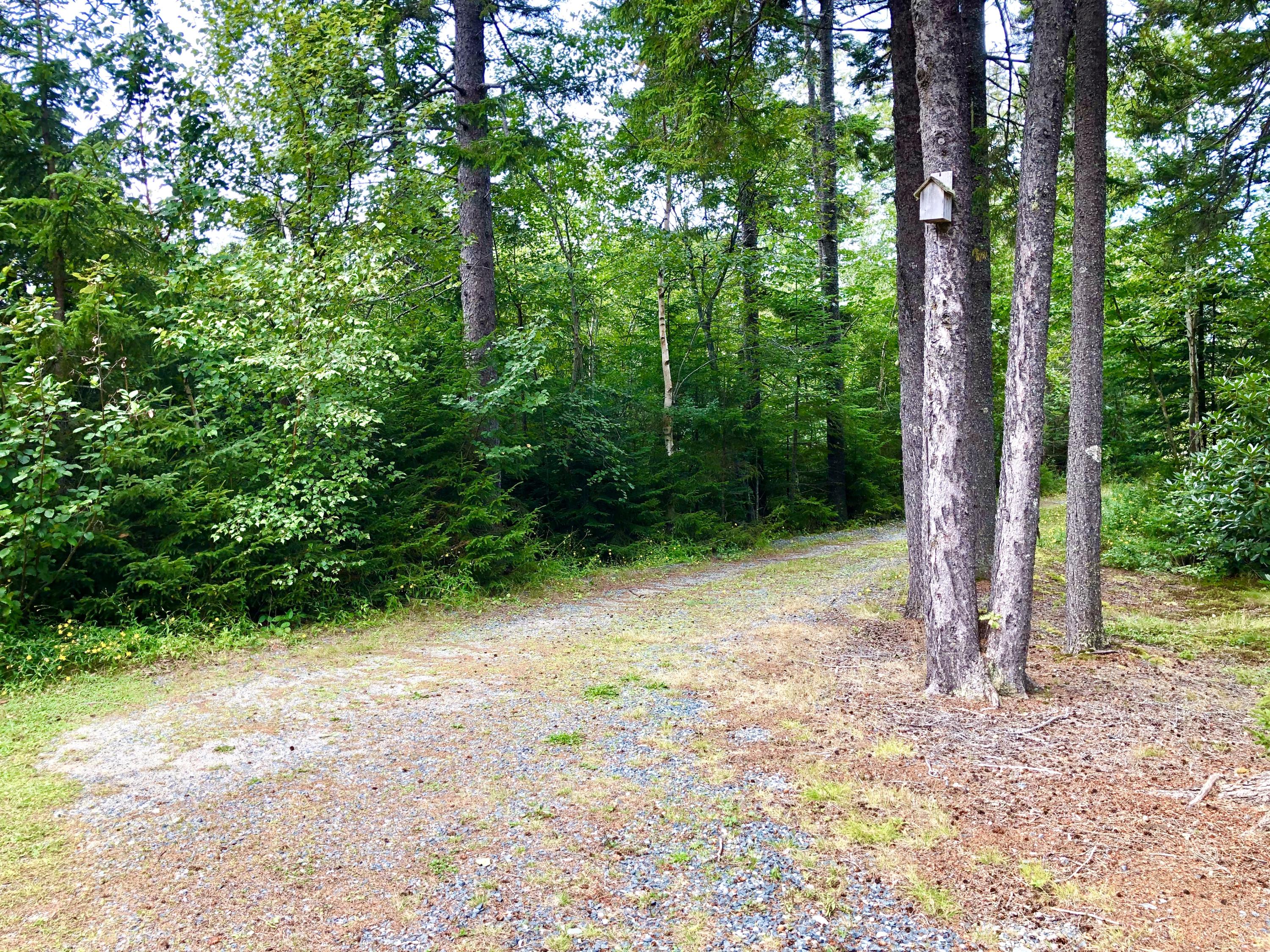 4 Lyford Road Bernard, ME 04612 - Photo 46 of 49 Driveway