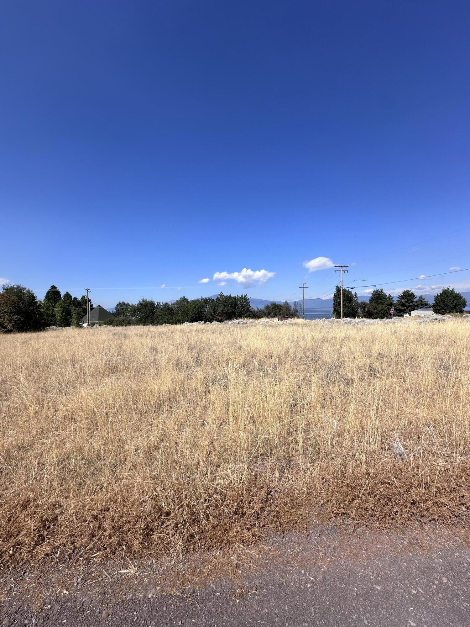 1-2 Golden Meadow Road Chiloquin, OR 97624 - Photo 5 of 8 View of property from the road
