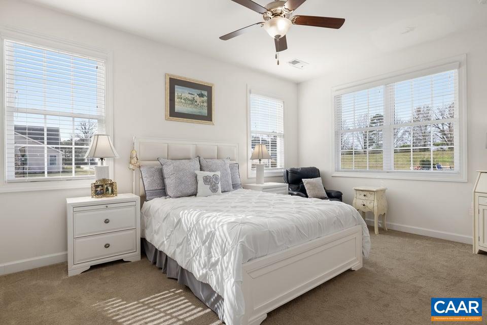 89 Crape Myrtle Drive Palmyra, VA 22963 - Photo 18 of 36