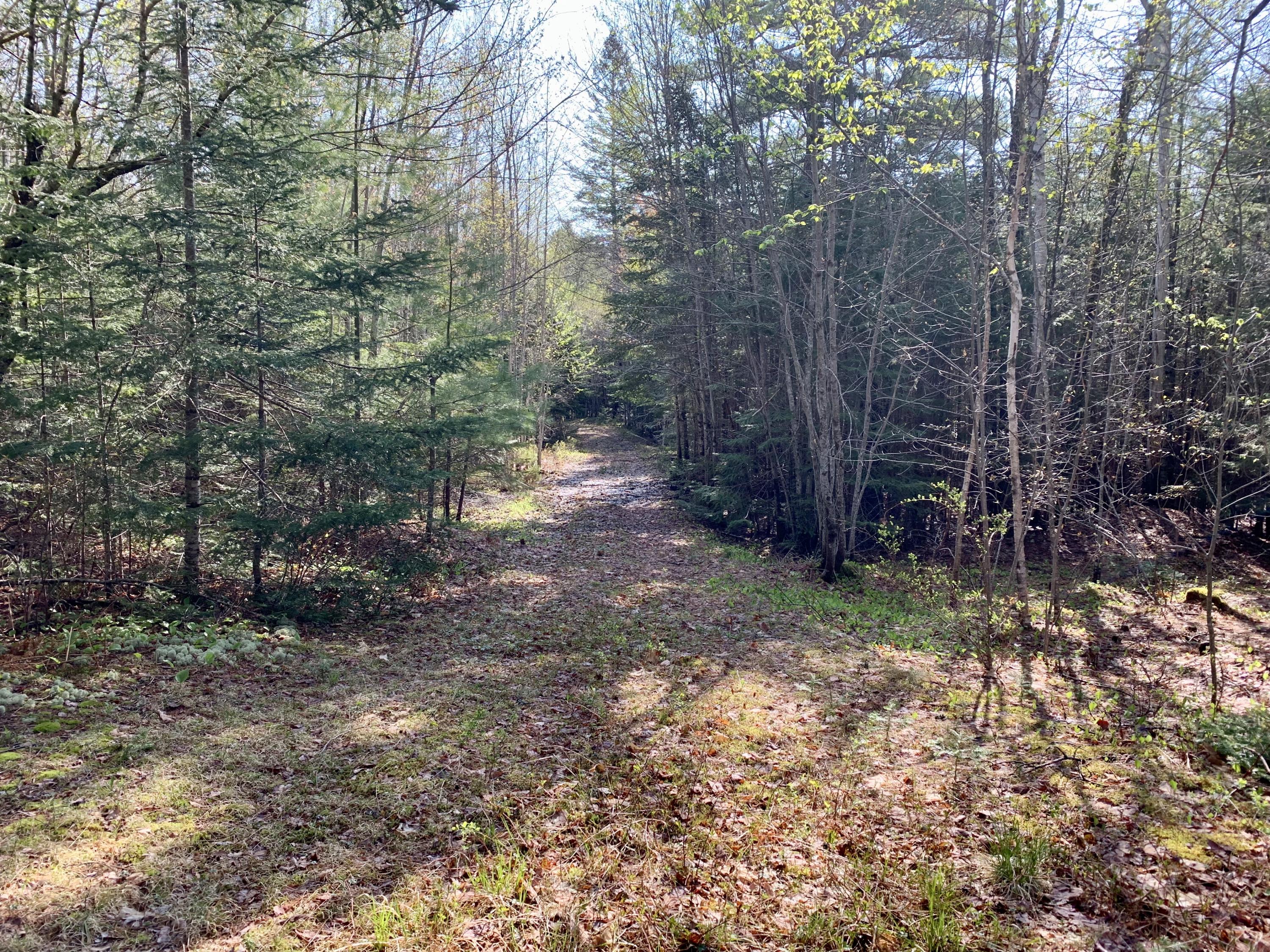 5 F Northfield Road Machias, ME 04654 - Photo 28 of 33 fullsizeoutput_1548