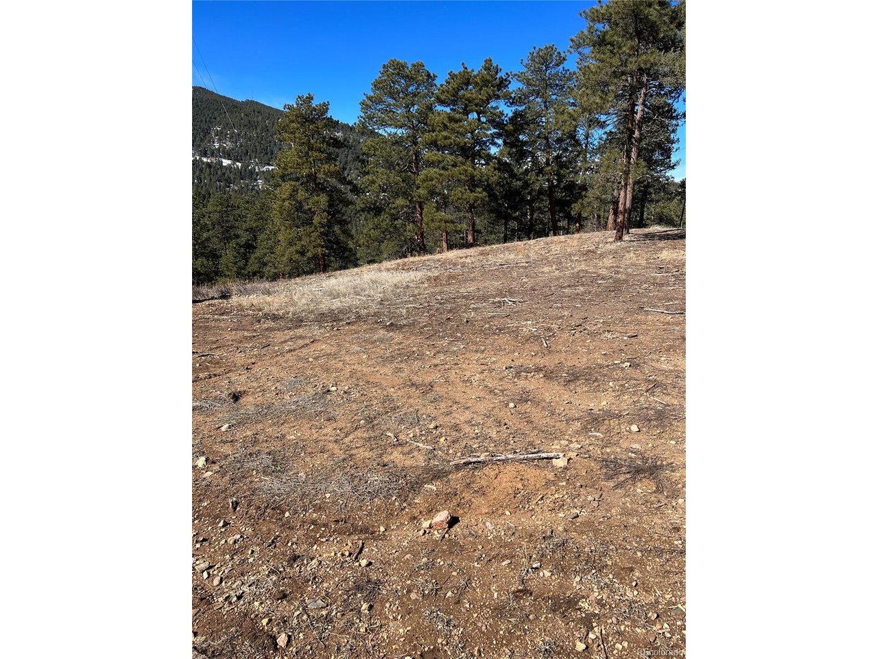1 Iowa Gulch Road Morrison, CO 80465 - Photo 2 of 2 a view of a backyard of the house