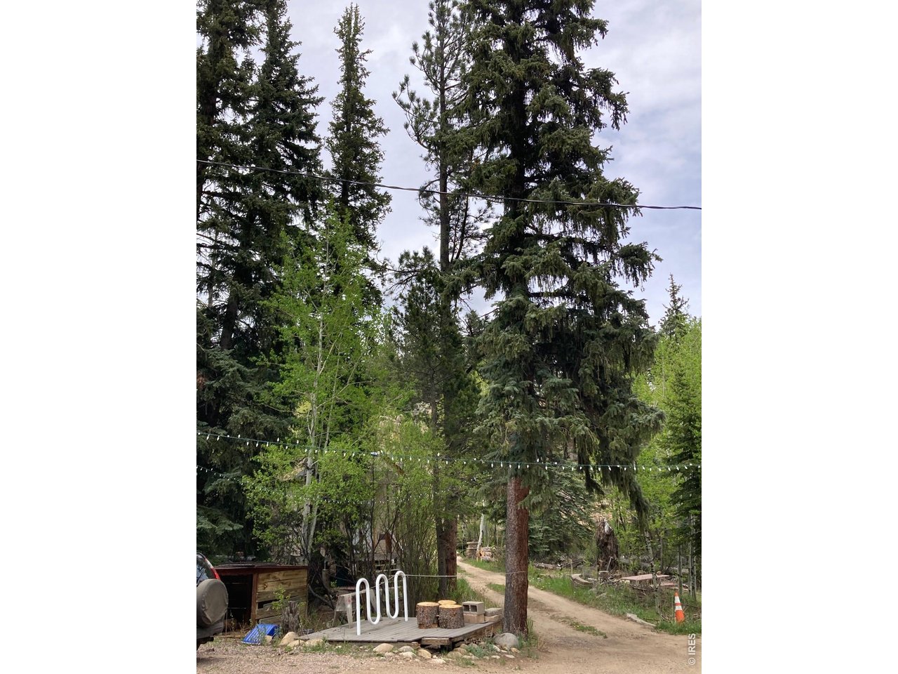 1064 Cold Springs Road Nederland, CO 80466 - Photo 36 of 48 a view of a park with a tree