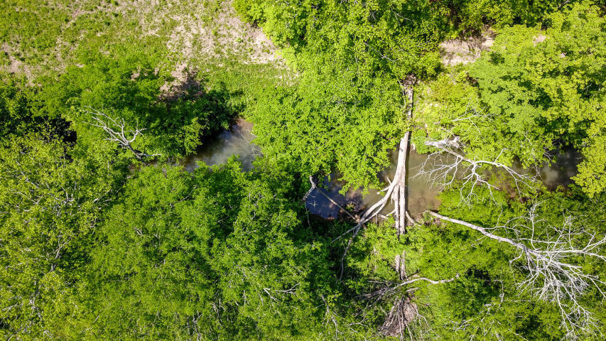 Indian Warpath Road Maryville, TN 37803 - Photo 11 of 14 SURVEY ON FILE