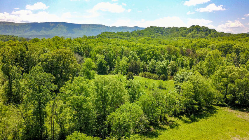 Indian Warpath Road Maryville, TN 37803 - Photo 13 of 14 10 MINUTES TO SHOPPING