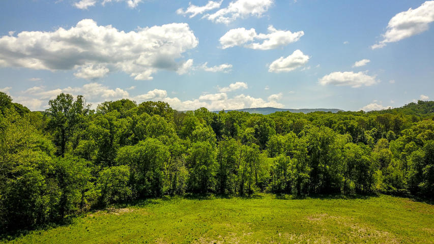 Indian Warpath Road Maryville, TN 37803 - Photo 14 of 14 20190109210542471646000000-o