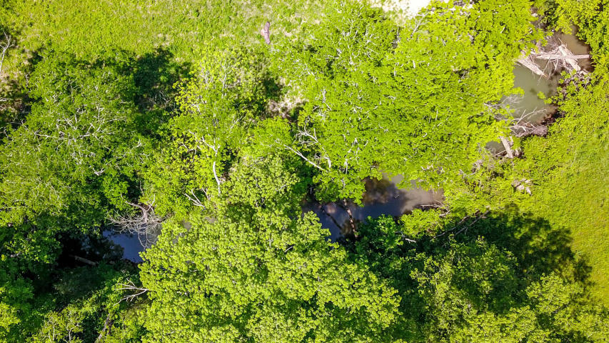 Indian Warpath Road Maryville, TN 37803 - Photo 8 of 14 The creek is more like a river....