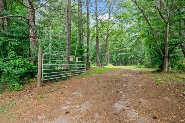a view of a field with trees in the background