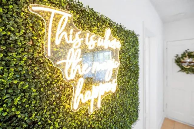 a close up of a plant in a garden