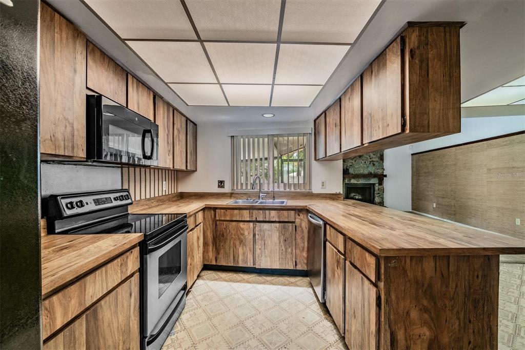 3916 Casaba Loop Valrico, FL 33596 - Photo 12 of 38