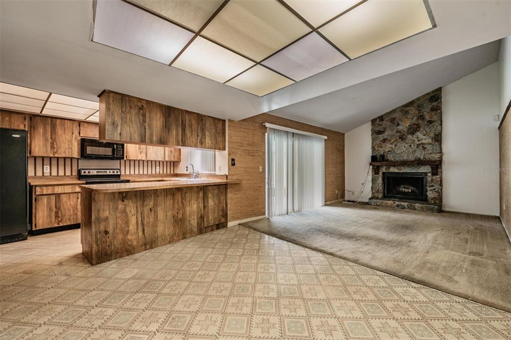 3916 Casaba Loop Valrico, FL 33596 - Photo 15 of 38