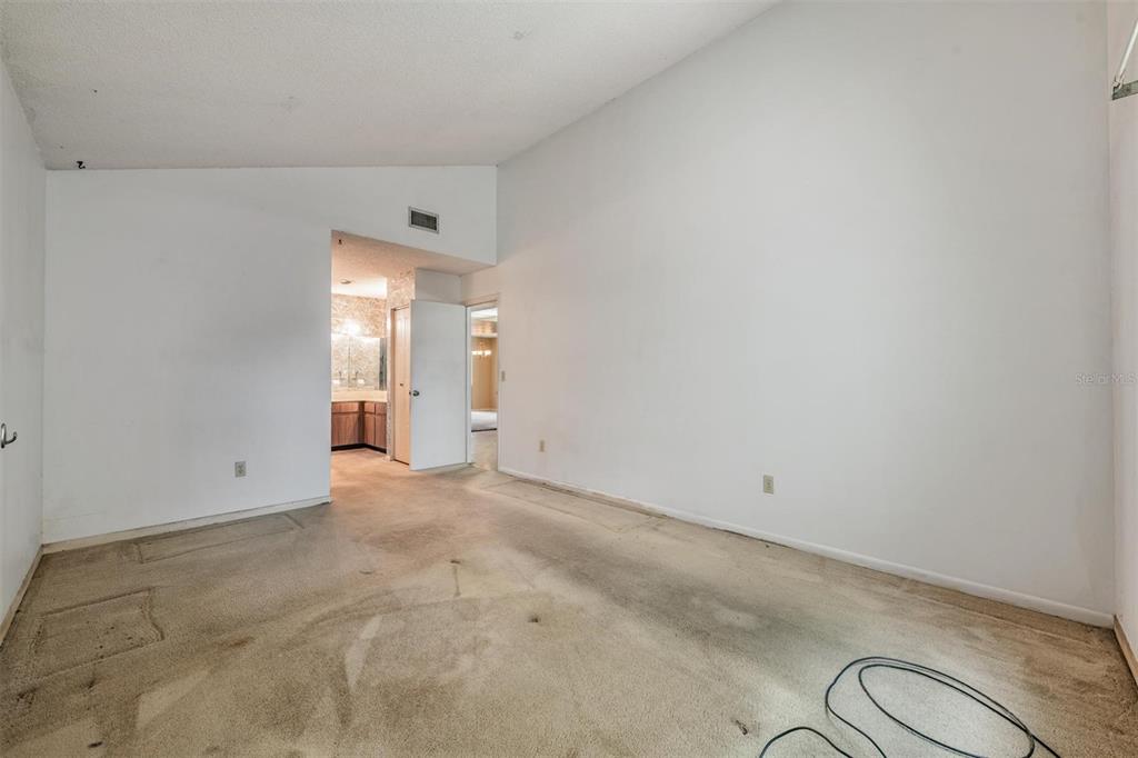 3916 Casaba Loop Valrico, FL 33596 - Photo 19 of 38