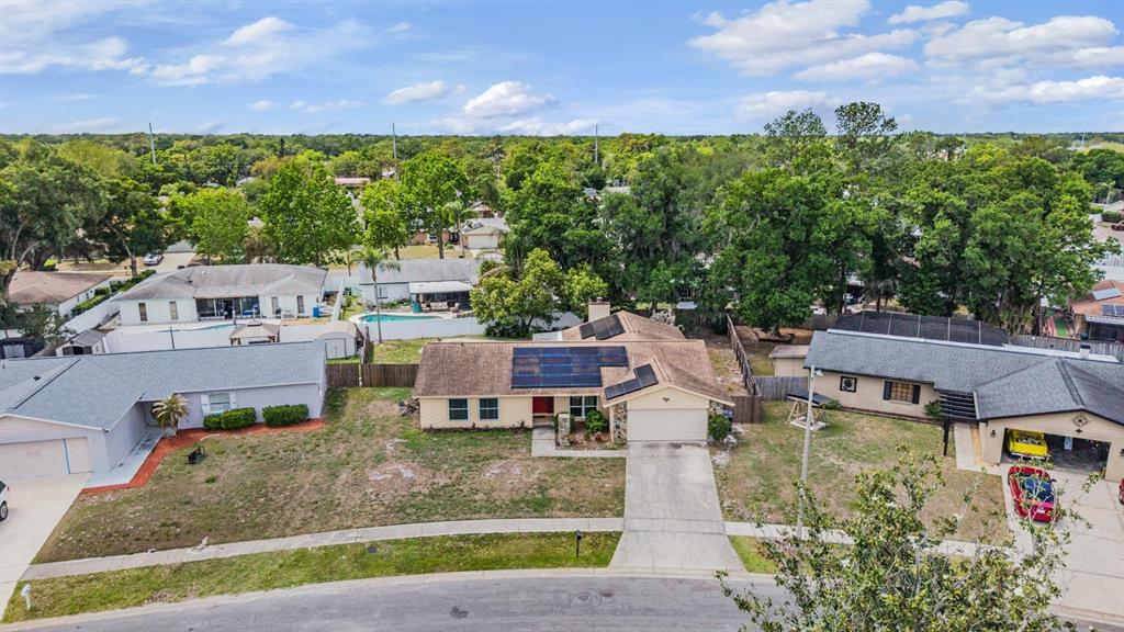 3916 Casaba Loop Valrico, FL 33596 - Photo 37 of 38