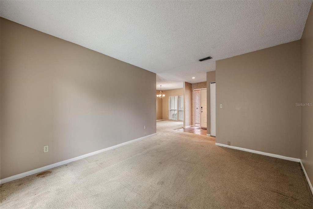 3916 Casaba Loop Valrico, FL 33596 - Photo 6 of 38