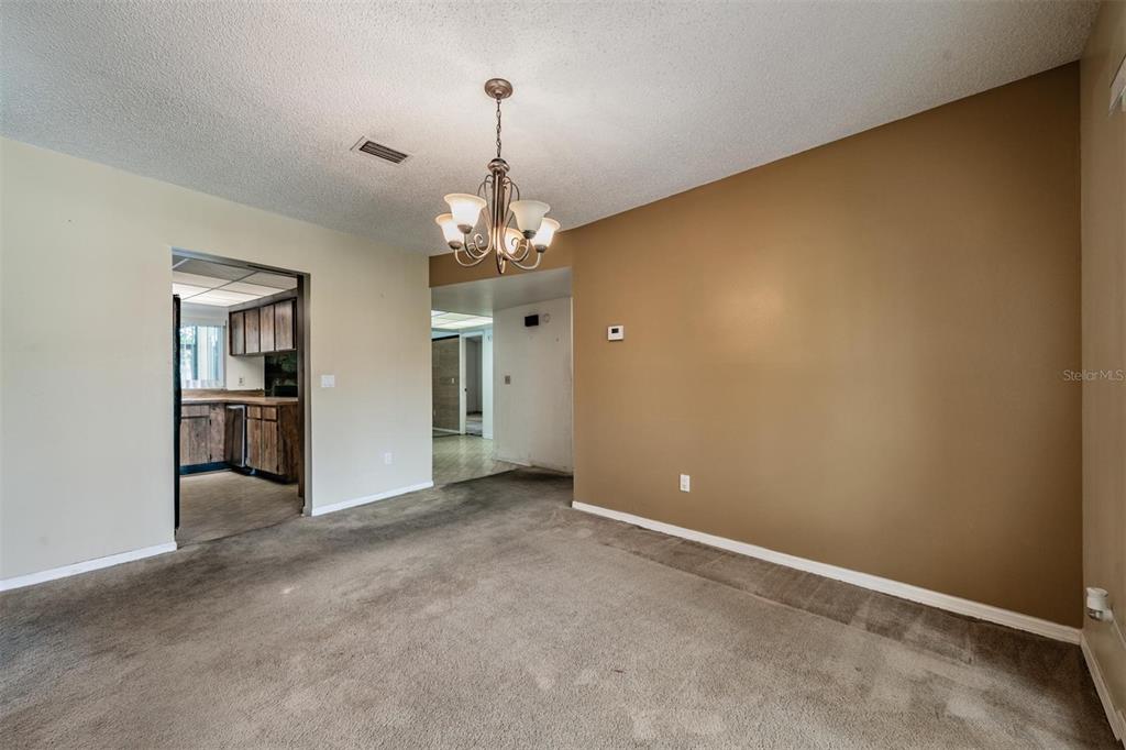 3916 Casaba Loop Valrico, FL 33596 - Photo 9 of 38