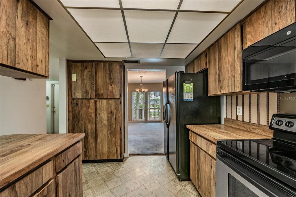 3916 Casaba Loop Valrico, FL 33596 - Photo 10 of 38